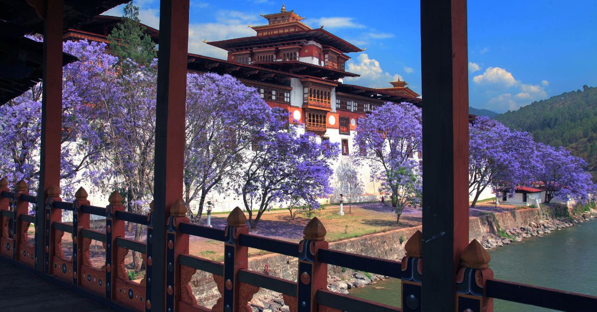Bhutan Tour - Dooars Bhutan Tours Blog